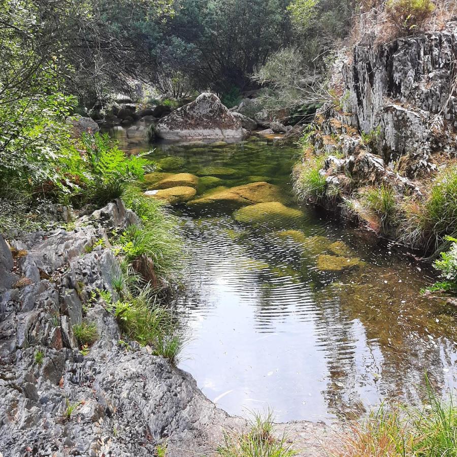 Casinhas Da Eira Caramulo Turismo Rural Arca Εξωτερικό φωτογραφία