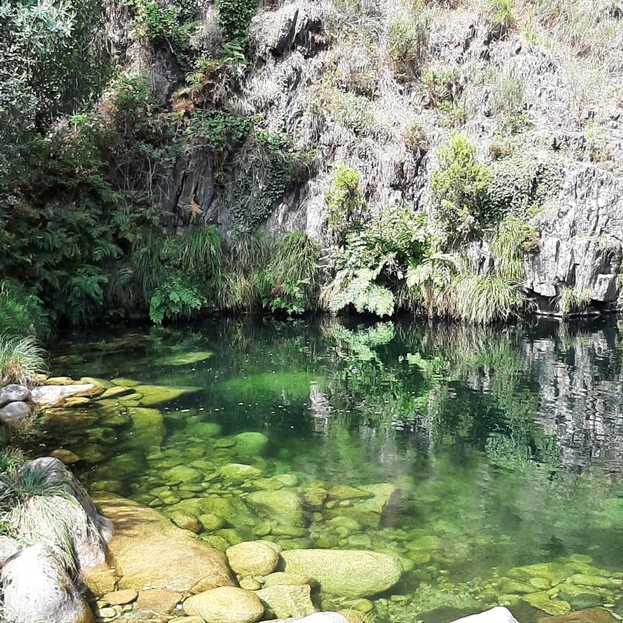 Casinhas Da Eira Caramulo Turismo Rural Arca Εξωτερικό φωτογραφία